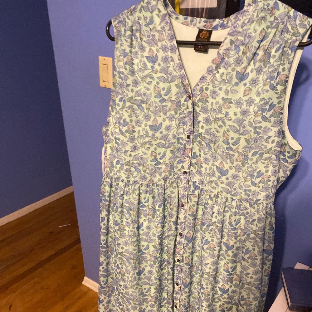 Designer Alice dress